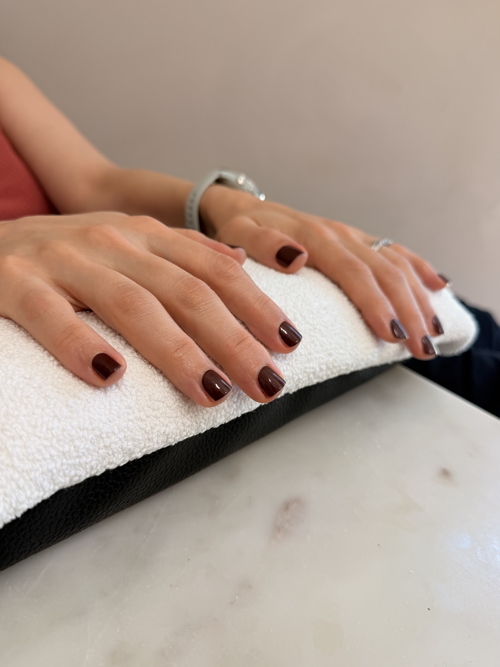 Natural Nail Theory logo